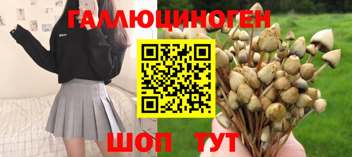 Галлюциногенные грибы мицелий Троицк